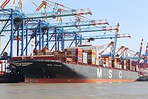 MSC VENICE