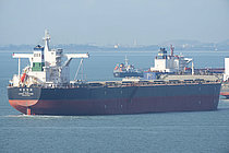 CHINA FORTUNE — Bulk Carrier, Singapore flag, built 2009