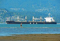 AFRICAN WAGTAIL — Bulk Carrier, Bahamas flag, built 2013