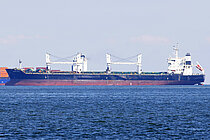 DENSA SEAL — Bulk Carrier, Malta flag, built 2011