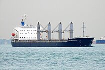 SAKURA DREAM — Bulk Carrier, PANAMA flag, built 2013
