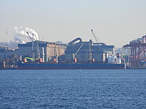 KIRAN ADRIATIC — Bulk Carrier, MALTA flag, built 2014