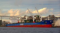 ARTEMIS E — Bulk Carrier, Malta flag, built 2013
