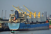 HONGLI 8