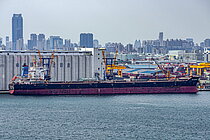 XIN DONG GUAN 15 — Bulk Carrier, China flag, built 2013