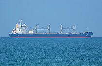 ARYA — Bulk Carrier, Liberia flag, built 2013