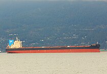 NSU NEWSTAR — Bulk Carrier, PANAMA flag, built 2014