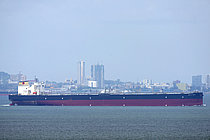 APOLLO DREAM — Oil And Chemical Tanker, Panama flag, built 2014