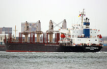 AMIRA SOPHIE II — Bulk Carrier, Panama flag, built 2014