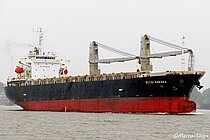 HOSEI SAKURA