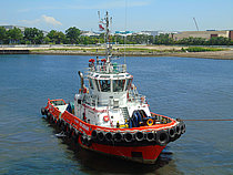 JMS BERANI — Towing Vessel, Singapore flag, built 2013
