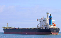 BULK SWEDEN — Bulk Carrier, PORTUGAL (MAR) flag, built 2014