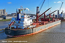 VAN LEOPARD — Bulk Carrier, LIBERIA flag, built 2015