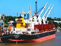 AP REVELIN — Bulk Carrier, Croatia flag, built 2016