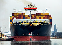 MSC ALINA — Container Carrier, LIBERIA flag, built 2014