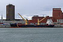 MIENA DESGAGNES — General Cargo Ship, BARBADOS flag, built 2017
