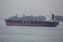 AFRICAN GRIFFON — Bulk Carrier, Bahamas flag, built 2014