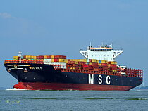 MSC LILY