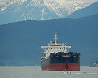 JAG AALOK — Bulk Carrier, INDIAN flag, built 2016