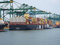MSC MAYA — Container Ship, PANAMA flag, built 2015