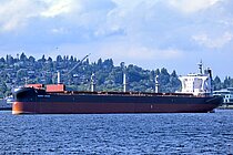 OLANGO ISLAND — Bulk Carrier, Singapore flag, built 2017