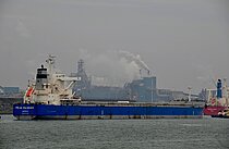 PEAK RAINIER — Bulk Carrier, BAHAMAS flag, built 2015