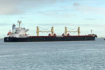 SALIM VII