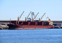 DEVBULK DAMLA