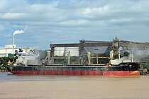 PACIFIC LOTUS — Bulk Carrier, Republic of the Marshall Islands flag, built 2019