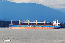 OLIVE BAY — Bulk Carrier, Hong Kong, China flag, built 2015