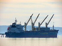 DARYA TIANA — Bulk Carrier, Hong Kong China flag, built 2015