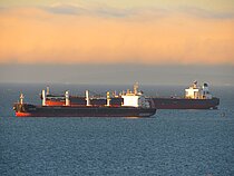 LYNUX PASSION — Bulk Carrier, Panama flag, built 2019