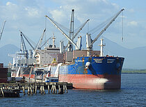 ML SWALLOW — Bulk Carrier, LIBERIA flag, built 2015