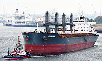 RUBINA — Bulk Carrier, PORTUGAL flag, built 2018