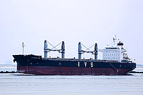 BIRDIE — Bulk Carrier, MALTA flag, built 2015