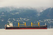 SAROCHA NAREE — Bulk Carrier, SINGAPORE flag, built 2017