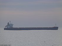 ADA — Bulk Carrier, Republic of Malta flag, built 2016
