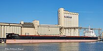 ARIETTA LILY — Bulk Carrier, Liberia flag, built 2017