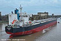 AOM BIANCA — Bulk Carrier, Singapore flag, built 2017