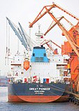 GREAT PIONEER — Bulk Carrier, CHINA flag, built 2015