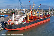 AMANI — Bulk Carrier, LIBERIA flag, built 2016
