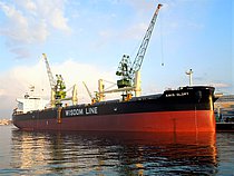 AMIS GLORY — Bulk Carrier, PANAMA flag, built 2016