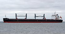 PACIFIC WEALTH — Bulk Carrier, Hong Kong, China flag, built 2017