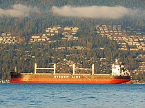 AMIS INTEGRITY — Bulk Carrier, PANAMA flag, built 2017
