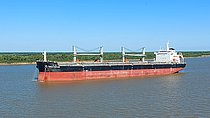 GREAT FORTUNE — Bulk Carrier, Hong Kong, China flag, built 2015