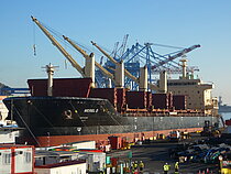 MEREL D — Bulk Carrier, MALTA flag, built 2016