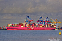 ONE BLUE JAY — Container Ship, JAPAN flag, built 2016