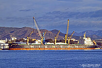 XIN HAITONG 9 — Bulk Carrier, Hong Kong, China flag, built 2015