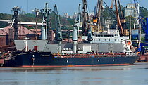 ALARA — Bulk Carrier, Russia flag, built 2015