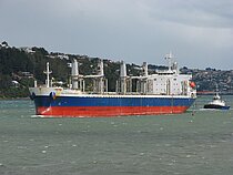 MEHMET DADAYLI — Bulk Carrier, Panama flag, built 2019